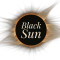 Blacksun Book Reviews — Book Discovery Strategy for Authors